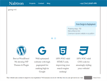 Tablet Screenshot of nabtron.com